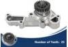 Water Pump:110602450