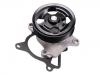 Water Pump:21010-3TS0A